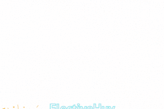 ElectiveHub
