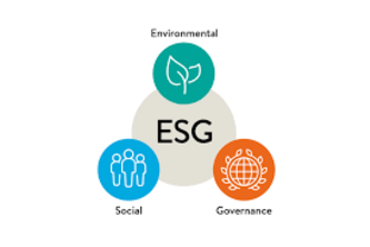 ESG VERFICATION POLICY