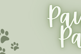 Pause and Paws